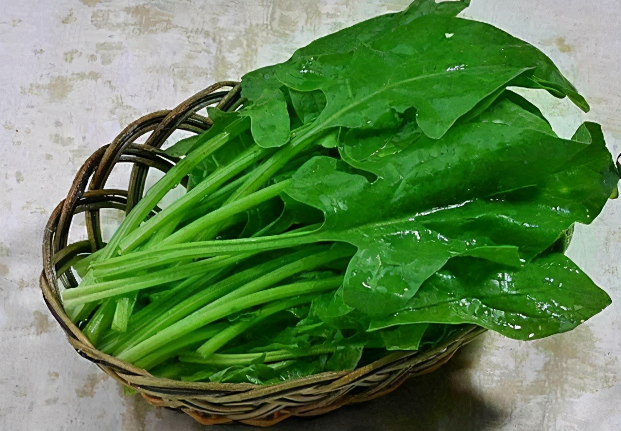 眼睛干涩模糊吃什么食物,眼睛特别干涩吃什么食物