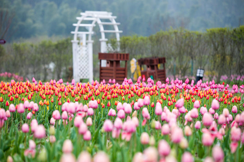 南昌月亮湾一日游最佳攻略,南昌月亮湾旅游攻略和自驾游攻略