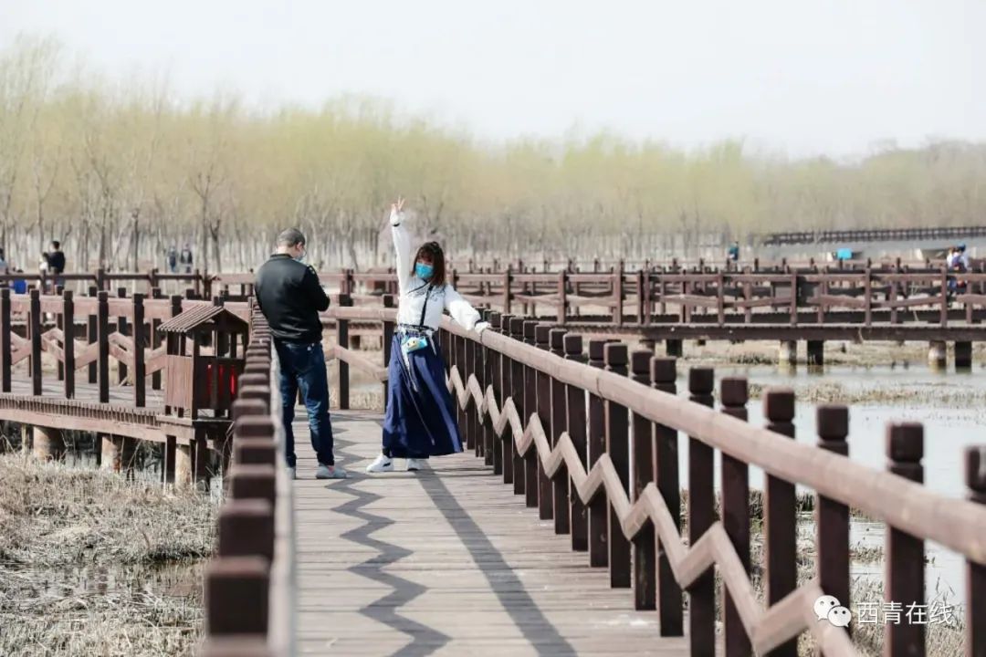 天津东疆亲海公园2022年开放吗,天津2022哪些公园恢复开放