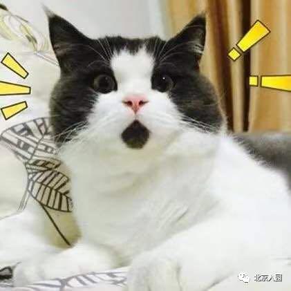 年年爆仓!北京10大热门民办幼儿园汇总!学费最低仅要750元