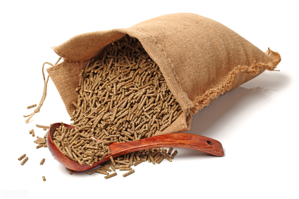 小规模如何科学养猪,规模化养猪场养猪技能技术有哪些