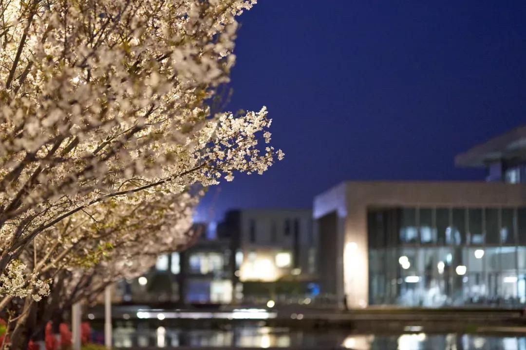 昆山杜克大学简介,江苏昆山杜克大学硕士