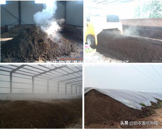 养兔杀菌除臭,微生物除臭技术