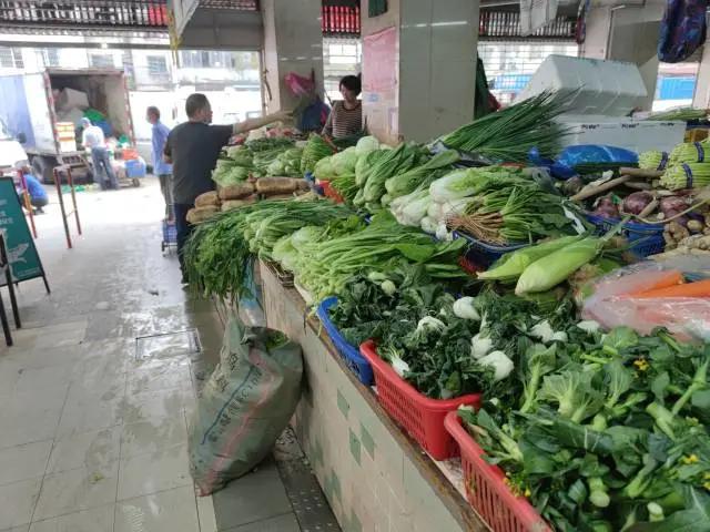 广州菜价已回落,更多蔬菜在路上……