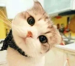 产道那么小婴儿是怎么出来的呢,孩子头那么大是怎么出产道的