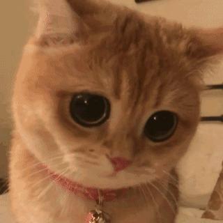 中航创新竞业协议,中国航发燃气涡轮研究院待遇