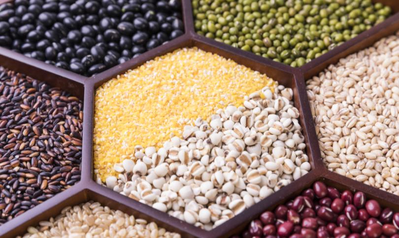 自制狗粮和购买的狗粮到底哪个好？