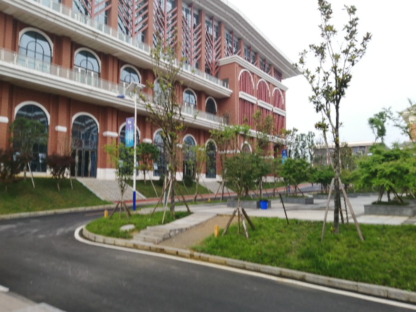 2024年全国青少年校园足球夏令营,全国青少年校园足球夏令营