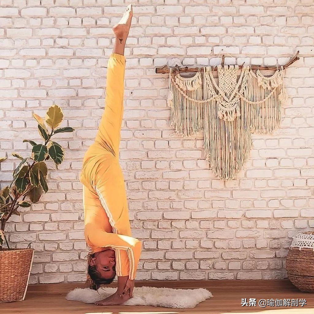 经常练瑜伽的女人会有什么好处,女人练瑜伽对男人有什么好处