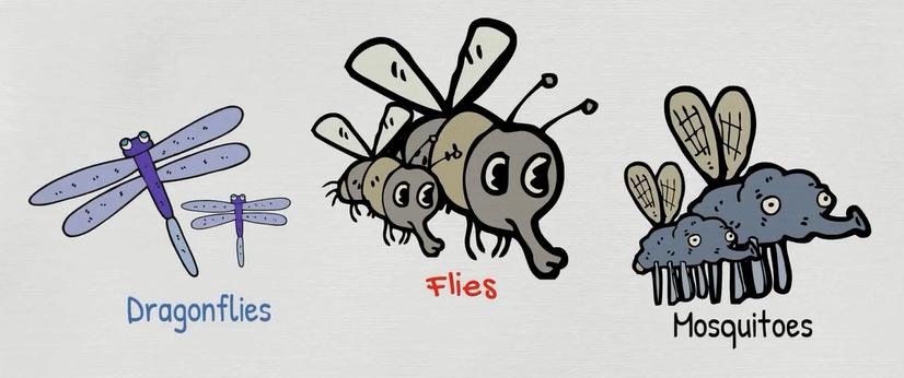 关于动物的英语短单词,初中英文的动物词汇