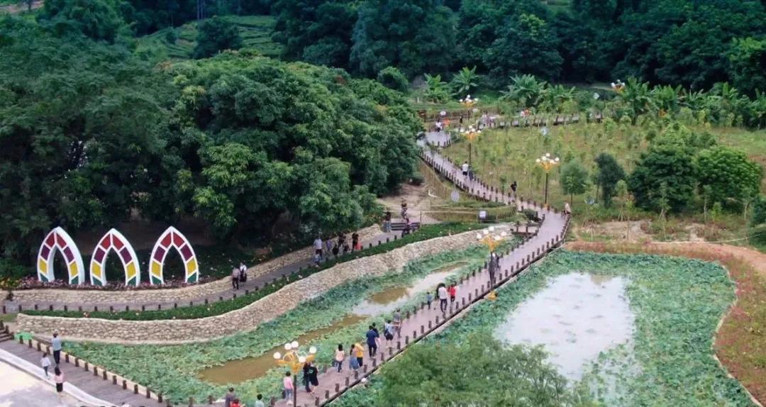 林青水绿茶飘香人道乡村好风光——莲花山片区乡村振兴示范带