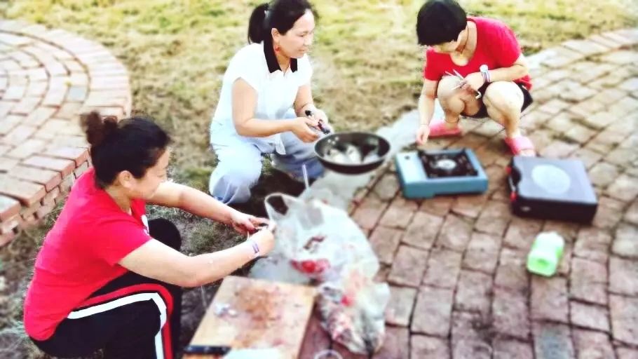 紫薇园宿州露营音乐节,中华紫薇园露营