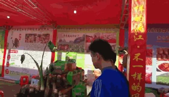 桂林平乐美食攻略,广西桂林平乐县特色美食