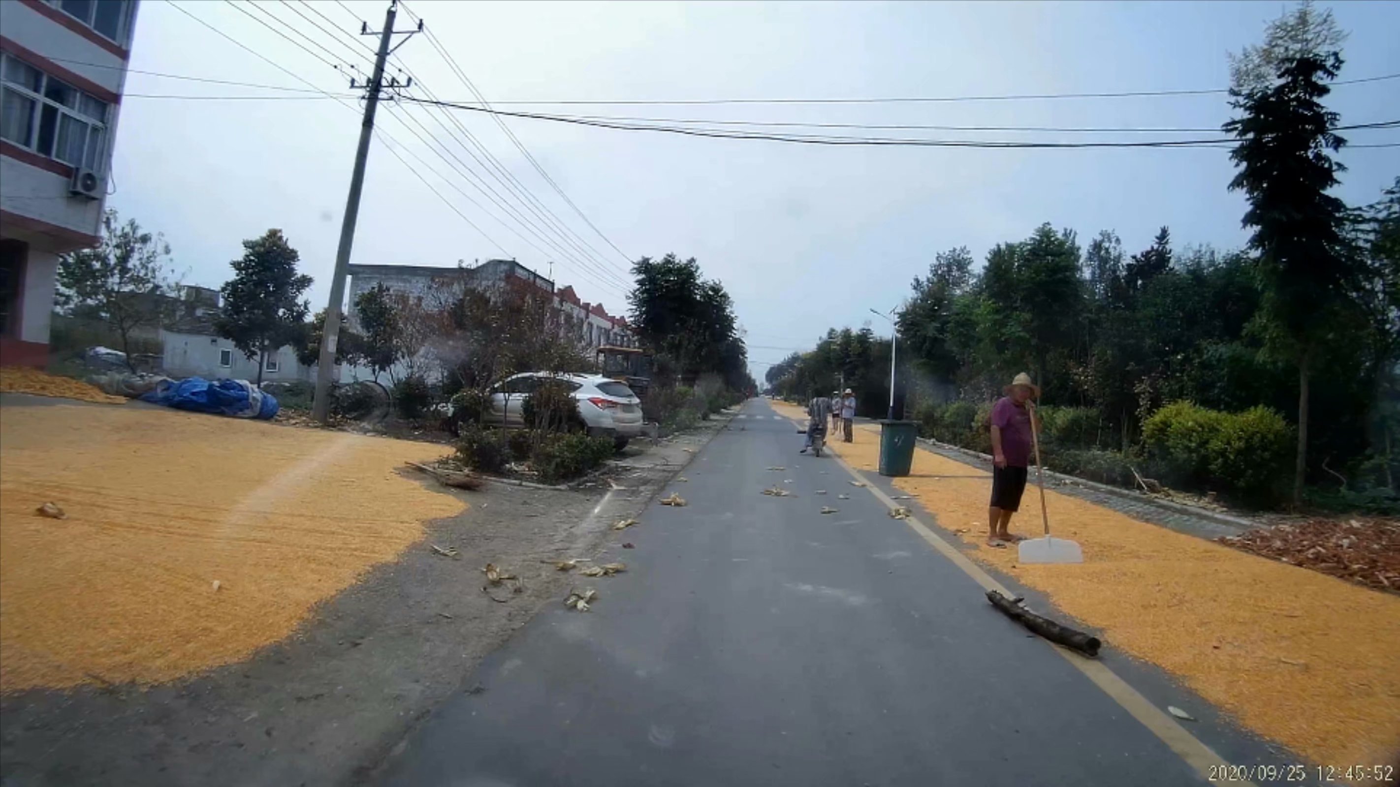 俞伯牙墓为什么在固镇,俞伯牙墓出土