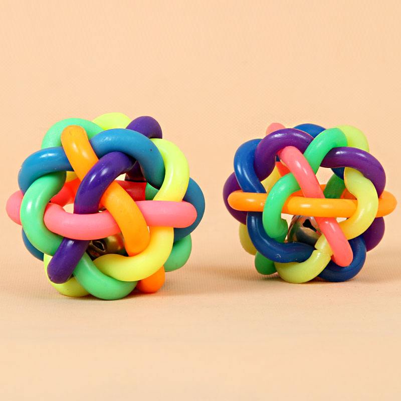 养狗新手入门必备知识,养狗知识大百科入门篇