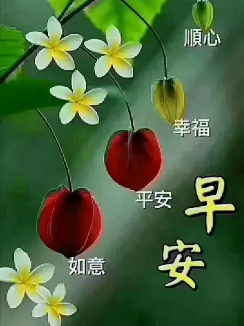 中老年表情包一切的美好源于早晨,中老年表情包活在当下且行且珍惜