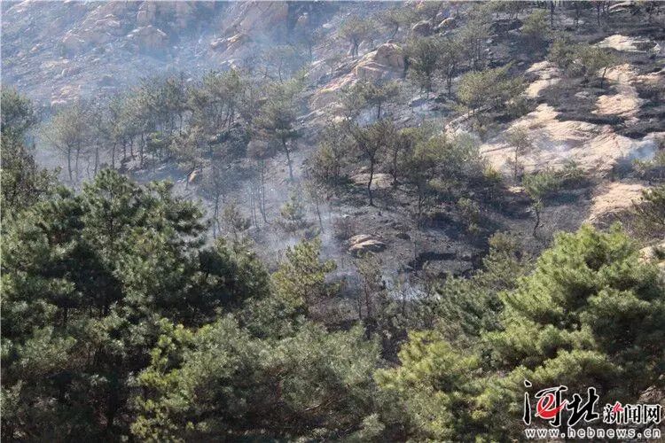 唐山社保待遇领取资格认证,唐山老人社保怎么办理退休