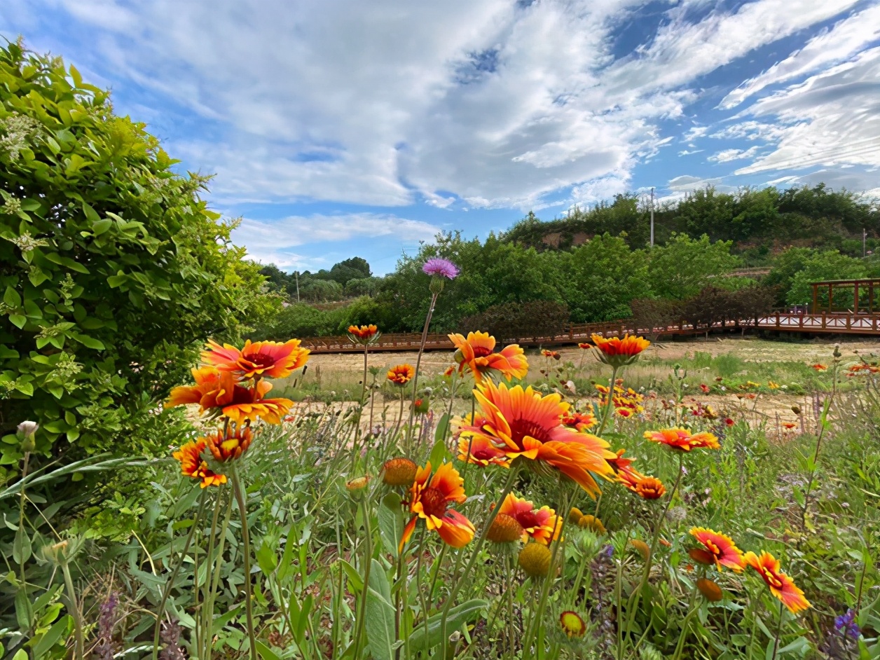 淄博是世界足球的起源地,临淄世界足球起源地