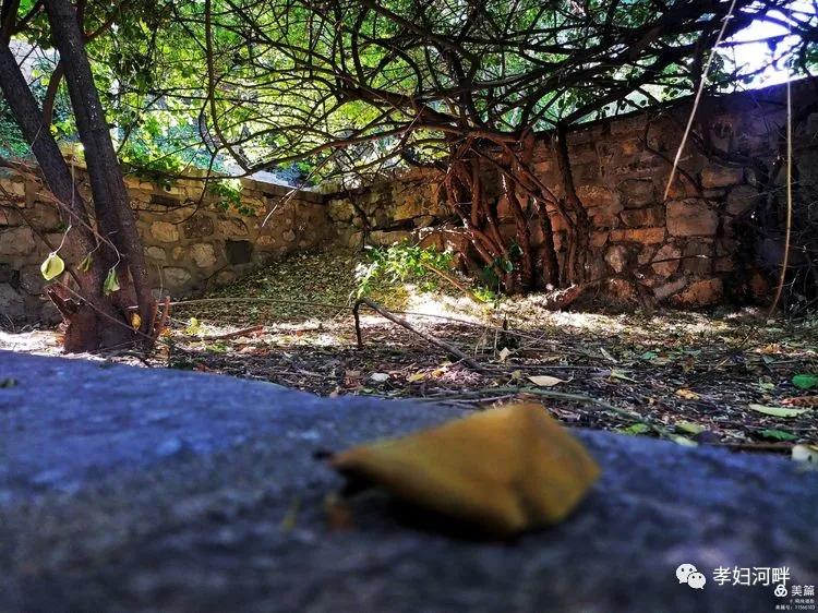 博山初夏风景图片,在博山公园藏着独特的宁静