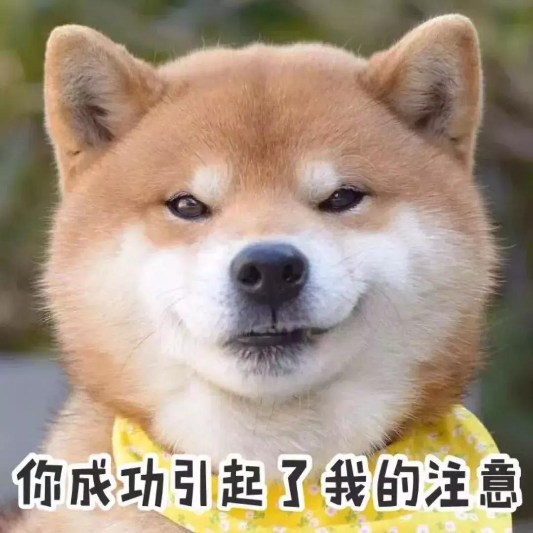 信阳市2020的平均工资是多少,信阳5000元工资算低吗