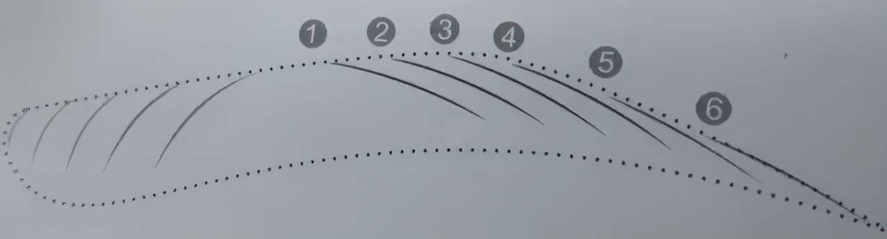 纹绣师设计眉形时如何与顾客沟通,2022纹绣师必须掌握的五大眉形