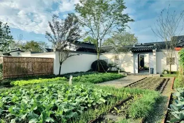 多利成都农庄门票,多利农庄门票