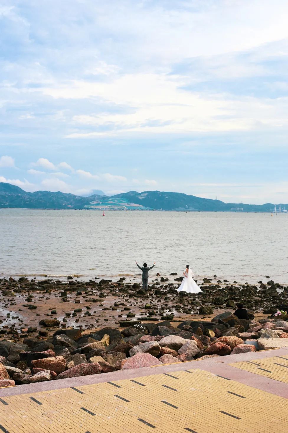 测评深圳湾,我直接被房租劝退