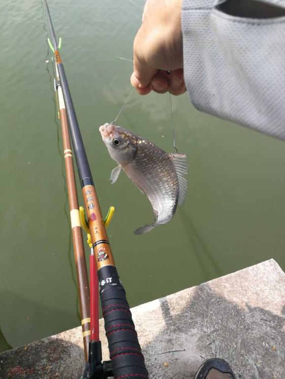 本汀金迦潘强硬弓测评,本汀金迦潘强弓鱼竿测评