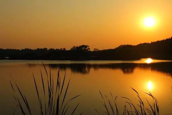广州适合情侣旅游的景区推荐,广州情侣必去的旅游胜地