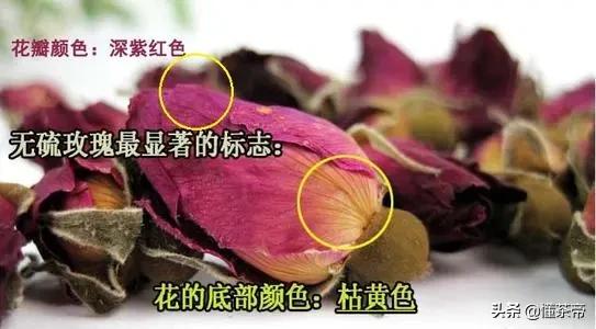 玫瑰花熏硫磺怎样鉴别,如何鉴别玫瑰有没有被硫磺熏过