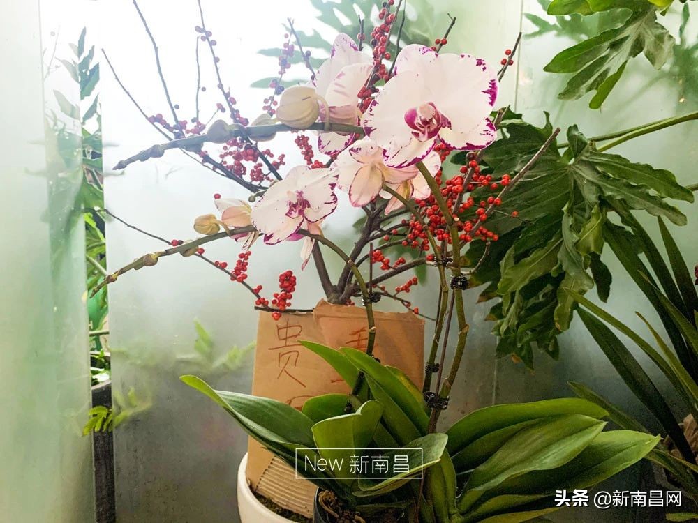 南昌花市有哪些地方,南昌花市批发市场