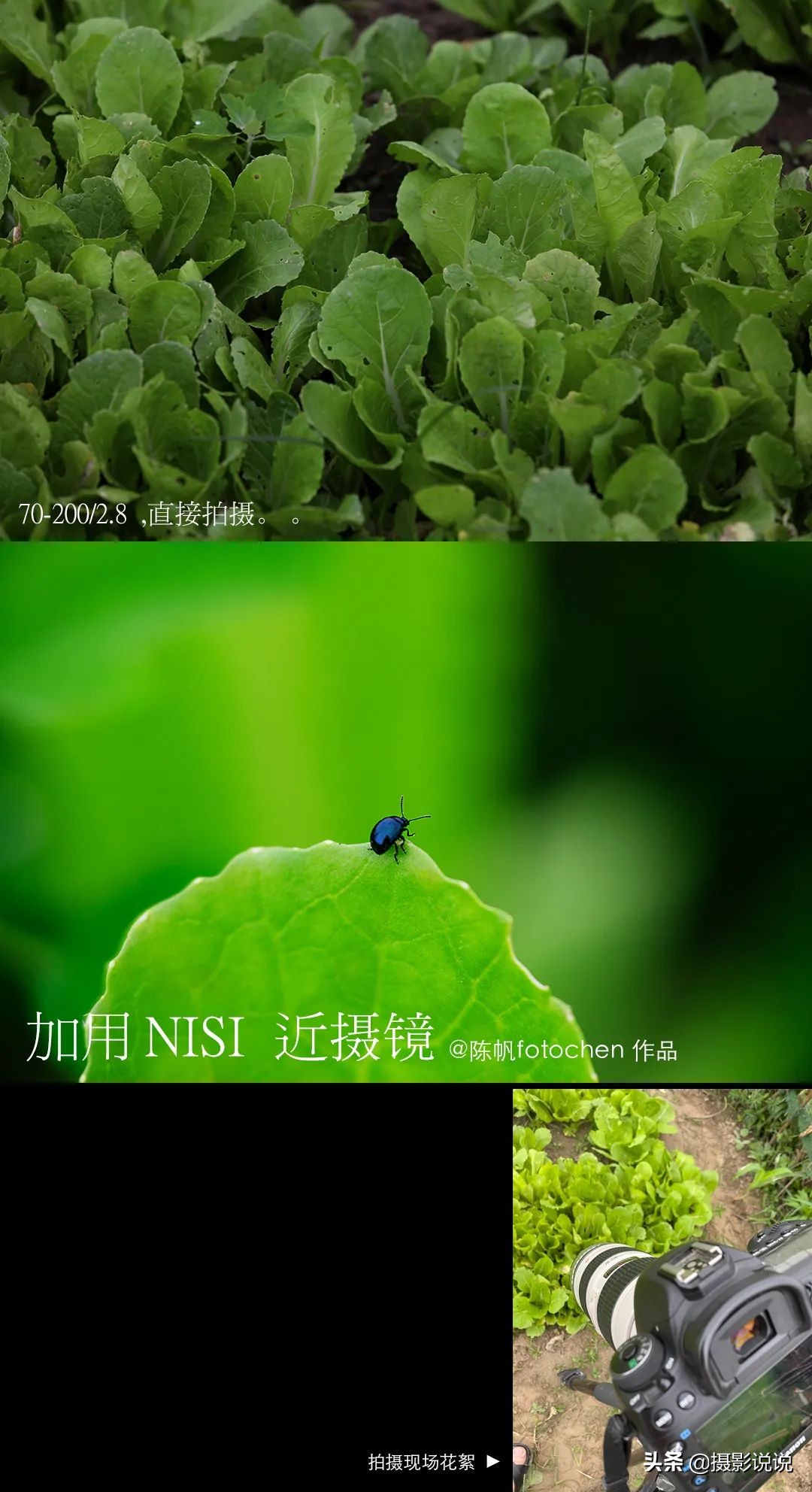 近摄镜拍微距,近摄镜测评视频