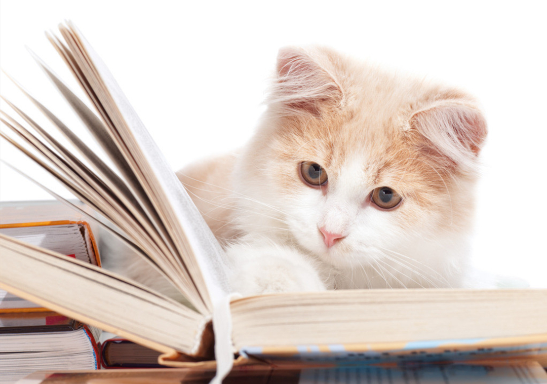 自学网站让你一年省下十几万,5个自学类网站每天提升一下自己