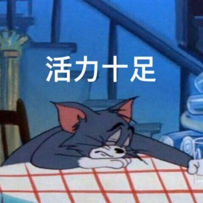 小时候看不懂猫和老鼠的故事,小时候看猫和老鼠动画片