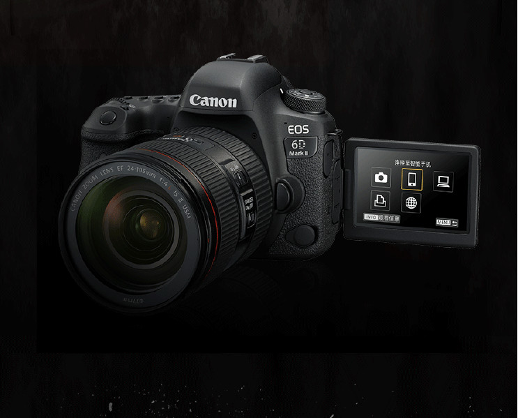 相机入门级的索尼尼康佳能哪个好,佳能和尼康和索尼哪个单反相机好