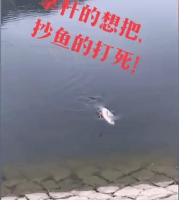 文能提竿安天下，武能执叉斗鳄鱼：鱼竿在手，万物皆有？