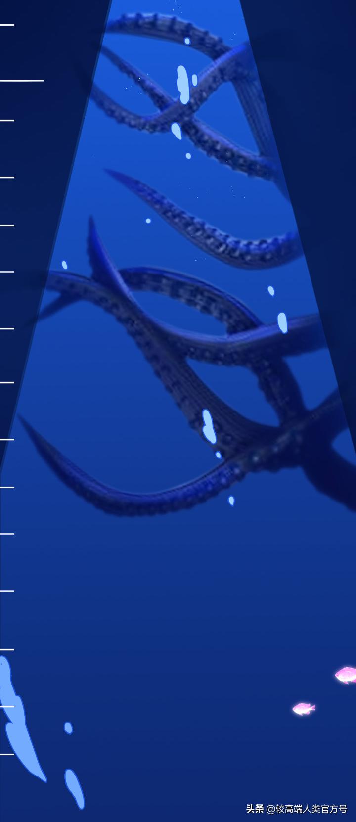 手机掉进水里十几秒有问题吗,手机掉入1000米