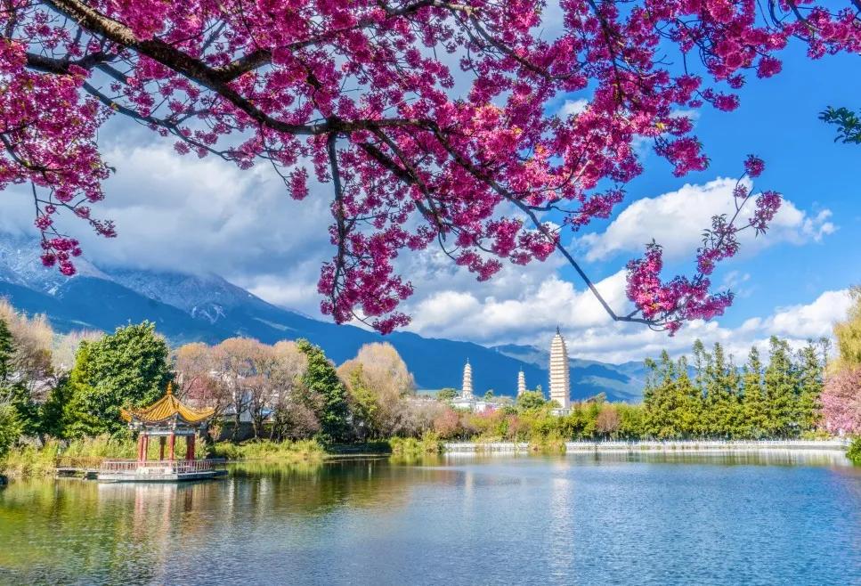 大理崇圣寺三塔五一免门票吗,大理崇圣寺三塔文化旅游区