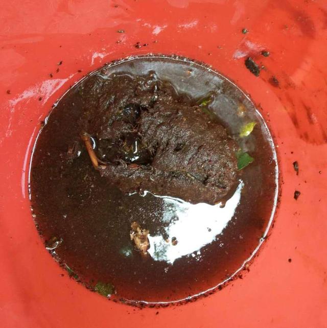 紫色的给鱼用的药水叫什么,紫色的养鱼杀菌剂