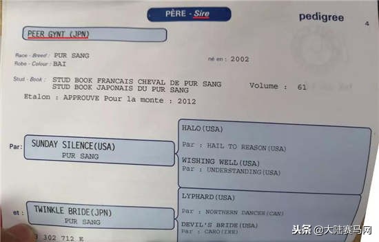 赛马课程,赛马课堂教学