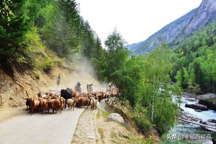 有了这攻略,自驾*藏西**游省心很多