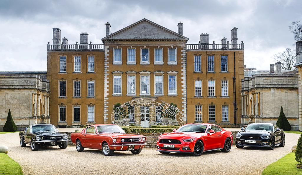 死马当作活马医，野马为何攀上“E”？