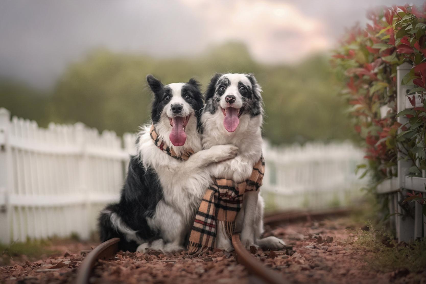 提高审美｜推荐10大中外人像摄影大神