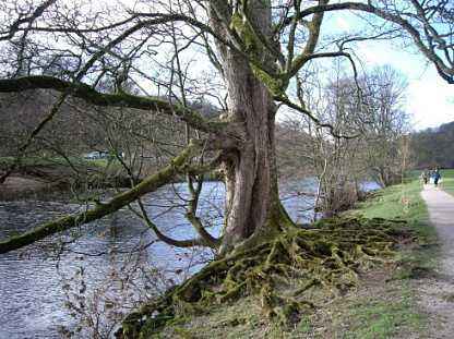 父母和孩子五行相生,和孩子五行相克如何破解