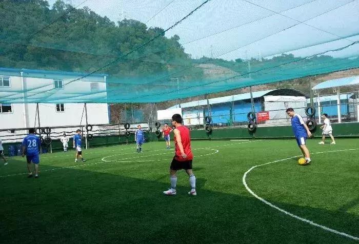 福田花卉世界最新消息,福田花卉世界改造