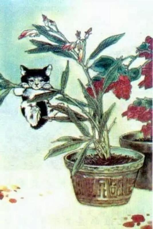 童年语文课本,80后的童年回忆之语文课本