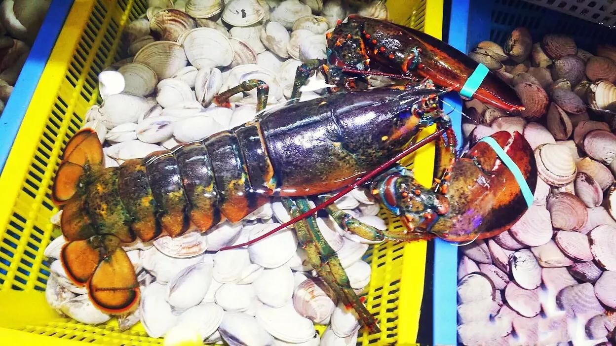 揚州雖然不是沿海城市但是海鮮產品還是挺豐富的