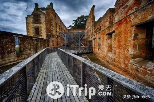 塔斯马尼亚一日游攻略,塔斯马尼亚攻略