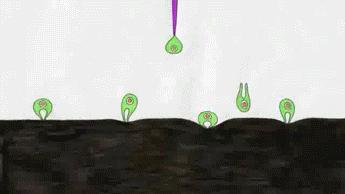 什么?!日本导演又要翻拍动画版《西游记》?