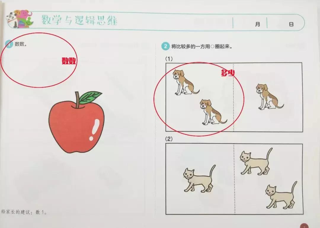 从几岁锻炼孩子的逻辑思维能力,从小培养孩子的大脑智能